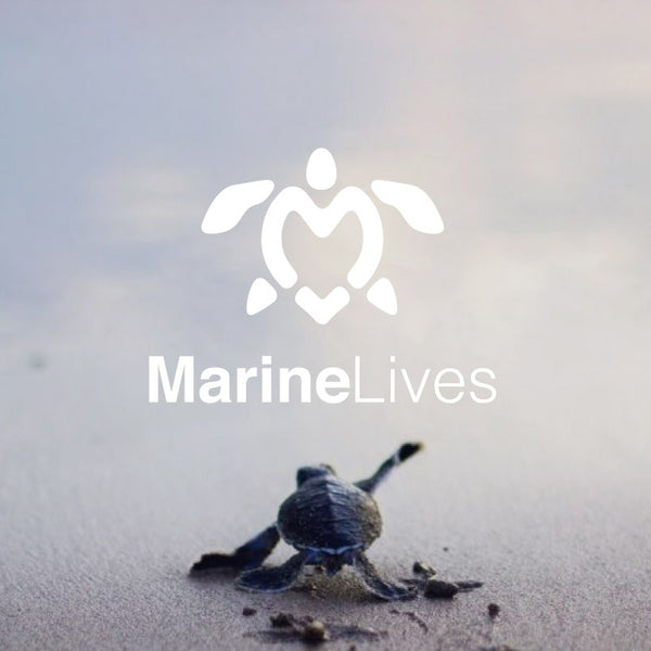Marine Lives